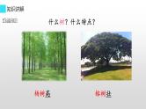 二年级上册语文部编版教案课文识字2.树之歌  课件