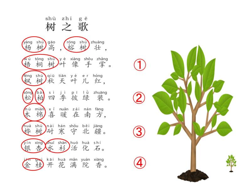 二年级上册语文部编版教案课文识字2.树之歌  课件05