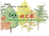 二年级上册语文部编版教案课文识字2.树之歌  课件7