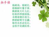 二年级上册语文部编版教案课文识字2.树之歌  课件7