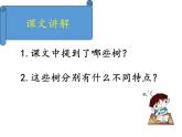 二年级上册语文部编版教案课文识字2.树之歌  课件7