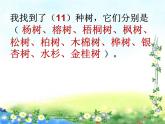二年级上册语文部编版教案课文识字2.树之歌  课件8