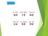 二年级上册语文部编版教案课文识字2.树之歌  课件9