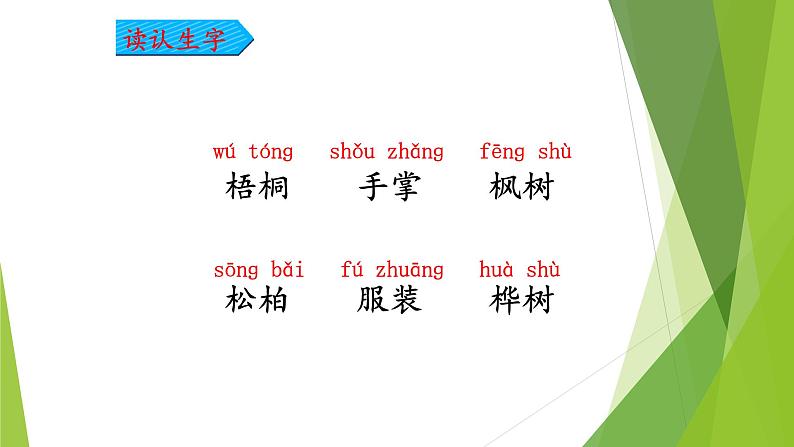 二年级上册语文部编版教案课文识字2.树之歌  课件9第5页