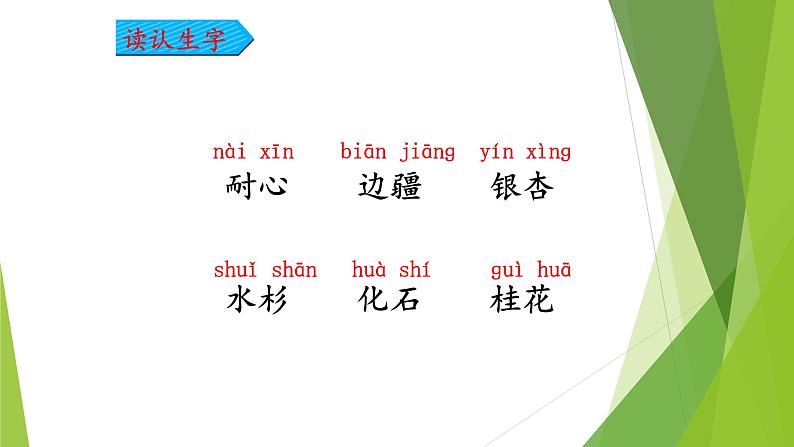 二年级上册语文部编版教案课文识字2.树之歌  课件9第6页