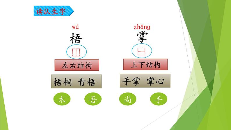 二年级上册语文部编版教案课文识字2.树之歌  课件9第8页