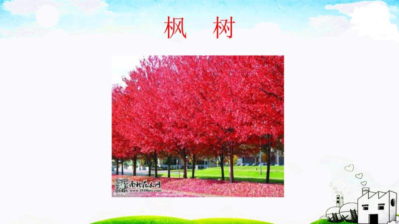 人教部编版二年级上册识字2 树之歌课文ppt课件-教习网|课件下载