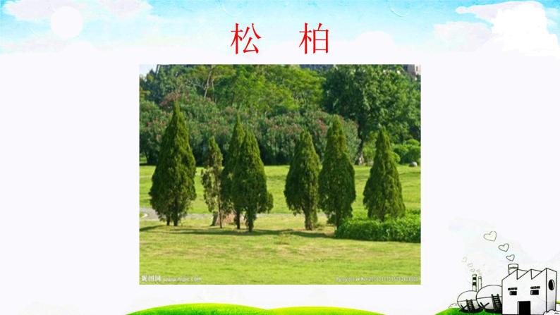 人教部编版二年级上册识字2 树之歌课文ppt课件-教习网|课件下载