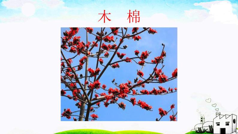 人教部编版二年级上册识字2 树之歌课文ppt课件-教习网|课件下载