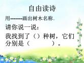 二年级上册语文部编版教案课文识字2.树之歌  课件14