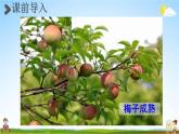 人教統(tǒng)編版三年級語文下冊《1 古詩三首 第3課時 三衢道中》教學課件PPT小學公開課