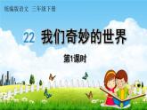 人教统编版三年级语文下册《22 我们奇妙的世界 第1课时》教学课件PPT小学公开课