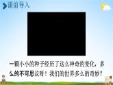 人教统编版三年级语文下册《22 我们奇妙的世界 第1课时》教学课件PPT小学公开课