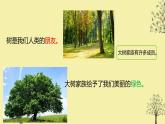 二年级上册语文部编版教案课文识字2.树之歌  课件