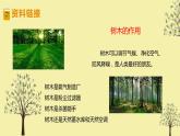 二年级上册语文部编版教案课文识字2.树之歌  课件