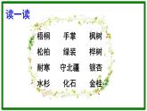二年级上册语文部编版教案课文识字2.树之歌  课件