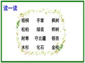 二年级上册语文部编版教案课文识字2.树之歌  课件