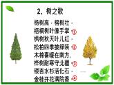 二年级上册语文部编版教案课文识字2.树之歌  课件