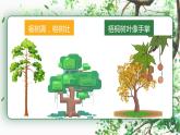 二年级上册语文部编版教案课文识字2.树之歌  课件