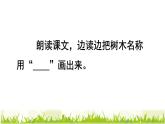二年级上册语文部编版教案课文识字2.树之歌  课件
