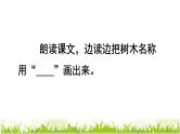 二年级上册语文部编版教案课文识字2.树之歌  课件