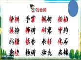 二年级上册语文部编版教案课文识字2.树之歌  课件