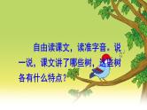 二年级上册语文部编版教案课文识字2.树之歌  课件