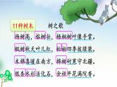 二年级上册语文部编版教案课文识字2.树之歌  课件