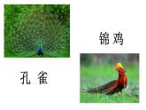 二年级上册语文部编版教案课文识字3.拍手歌   课件