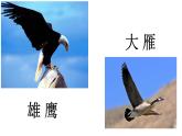 二年级上册语文部编版教案课文识字3.拍手歌   课件