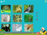 二年级上册语文部编版教案课文识字3.拍手歌   课件