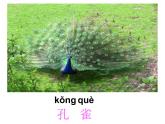 二年级上册语文部编版教案课文识字3.拍手歌   课件