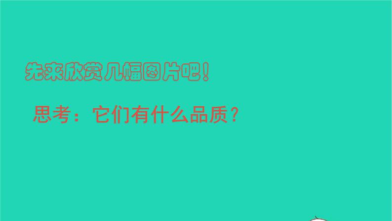 部编版六年级语文上册第一单元2丁香结课件02