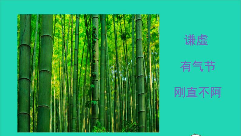 部编版六年级语文上册第一单元2丁香结课件04