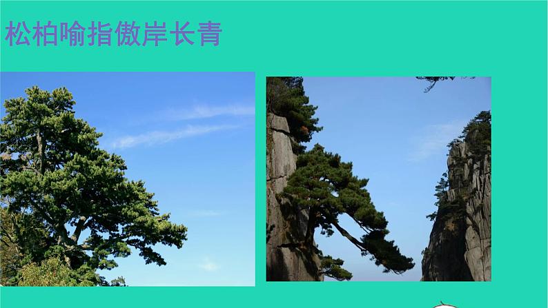 部编版六年级语文上册第一单元2丁香结课件07