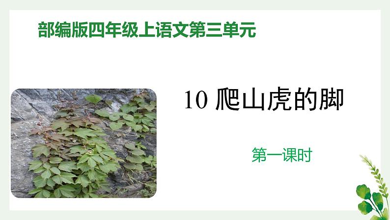 部编版四年级上语文10《爬山虎的脚》第1课时优质示范课课件第1页