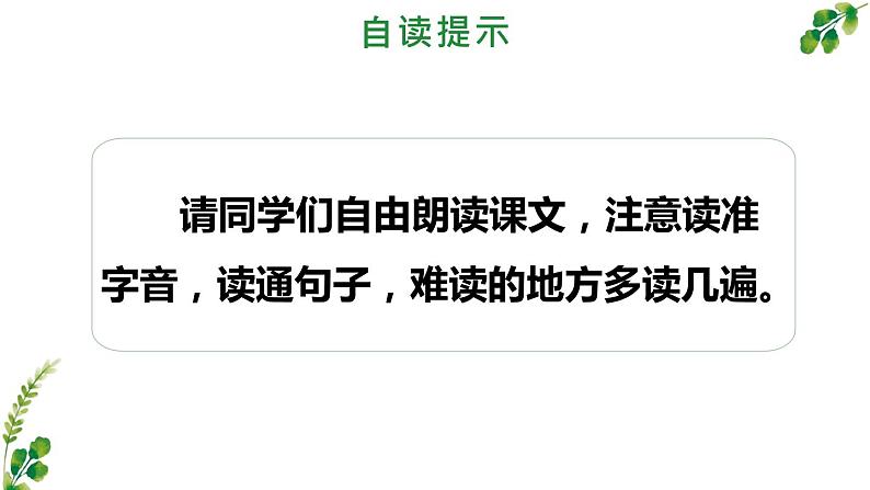 人教版四年级上语文10《爬山虎的脚》第1课时优质示范课课件第5页