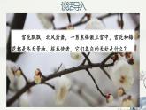 四年级上语文《雪梅》优质示范课件