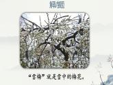 四年级上语文《雪梅》优质示范课件
