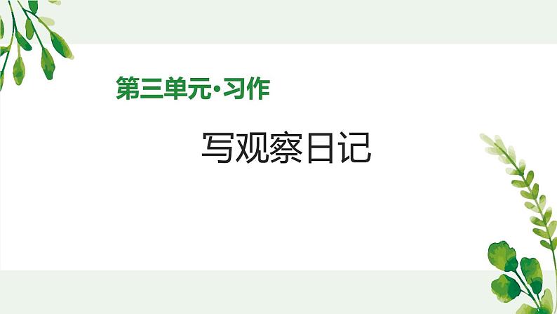 四年级上语文《习作：写观察日记》优质课课件第1页