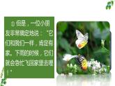 四年级上语文8《蝴蝶的家》公开课课件