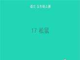 部编版五年级语文上册第五单元17松鼠教学课件(1)