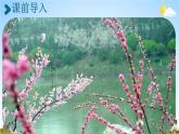 人教统编版四年级语文下册《4 三月桃花水》教学课件PPT小学公开课