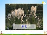 人教统编版四年级语文下册《21 芦花鞋》教学课件PPT小学公开课