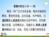 人教统编版四年级语文下册《15 白鹅 第1课时》教学课件PPT小学公开课