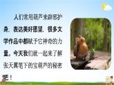 人教统编版四年级语文下册《26 宝葫芦的秘密（节选）第1课时》教学课件PPT小学公开课