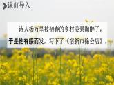 人教統(tǒng)編版四年級語文下冊《1 古詩詞三首 第2課時》教學(xué)課件PPT小學(xué)公開課