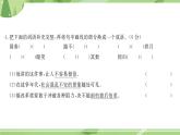 部编版语文五上  期中测试  课件PPT（含答案）