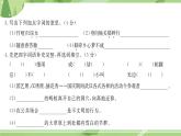 部编版语文五上  第七单元测试  课件PPT（含答案）