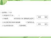 部编版语文五上  第五单元测试  课件PPT（含答案）